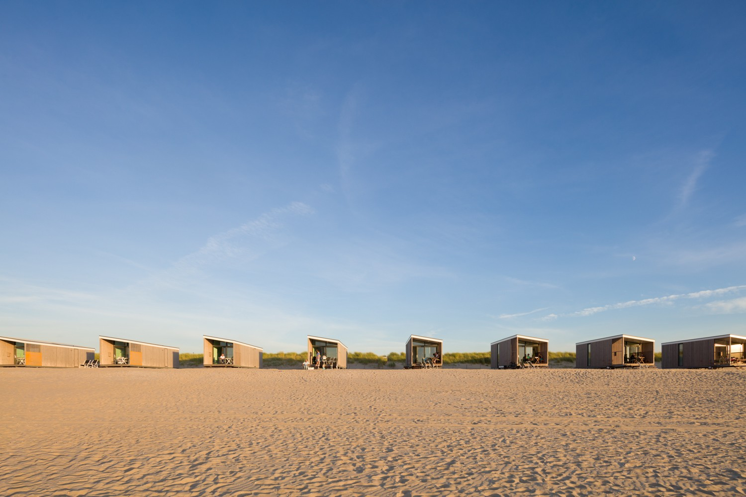 A dried flower rested upon wrinkled pieces of cloth paper.